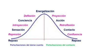 ciclo