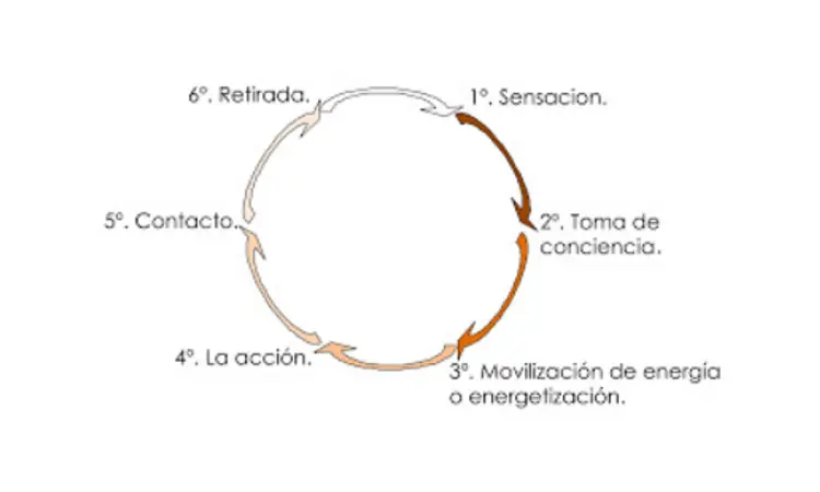 fases gestalt